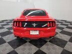 Thumbnail Photo 5 for 2015 Ford Mustang